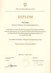 Diplom Zimmermeister (PDF)